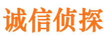 集贤寻人公司